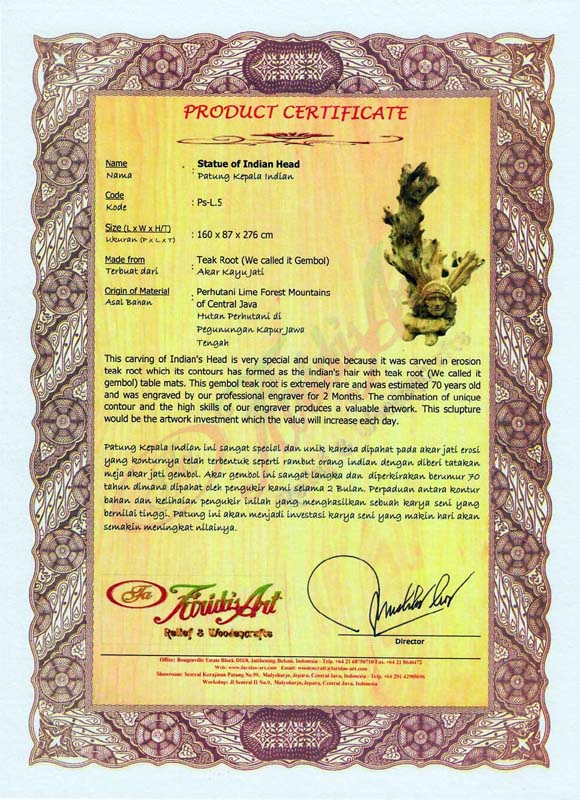 Topeng - Indian (Rambut Terurai)